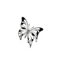 Artistic Butterfly Tattoo
